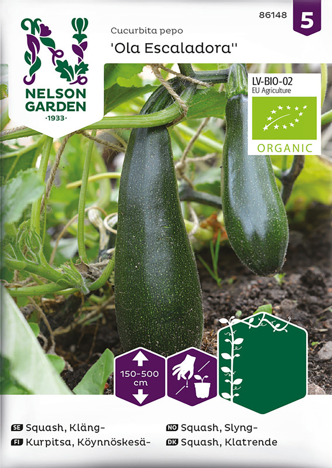 Squash Kläng Ola Escaladora Organic