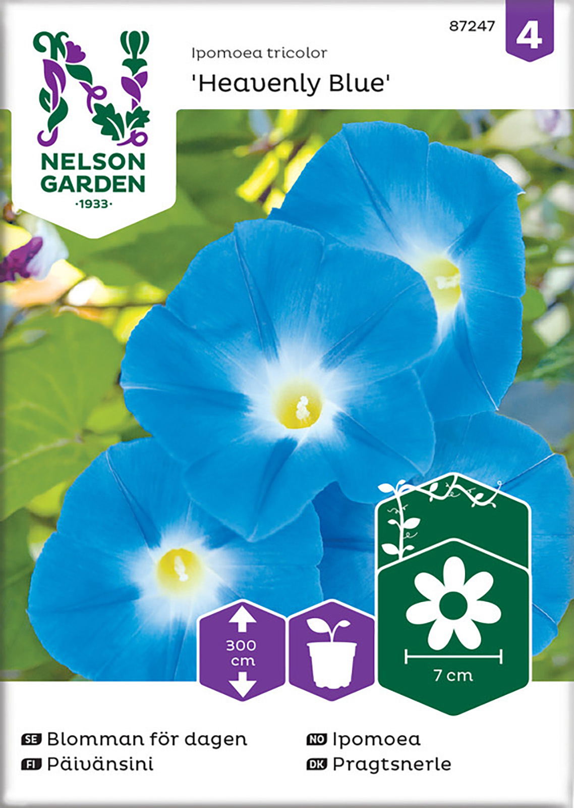 Blomman För Dagen Heavenly Blue