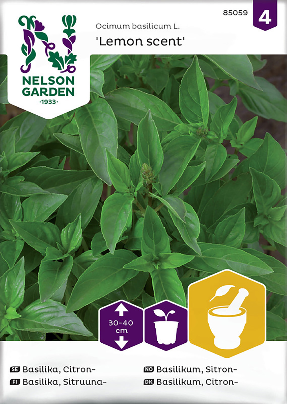 Basilika, Citron-, Lemon Scent
