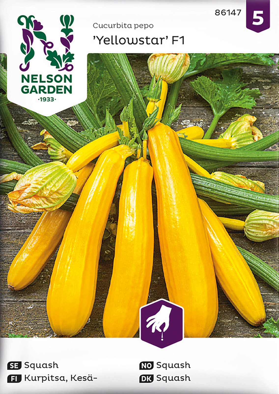 Squash, Yellowstar F1