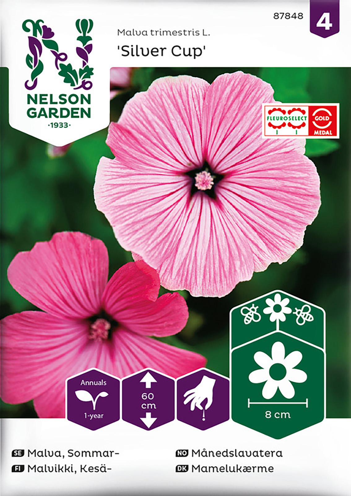 Malva Sommar Silver Cup Rosa