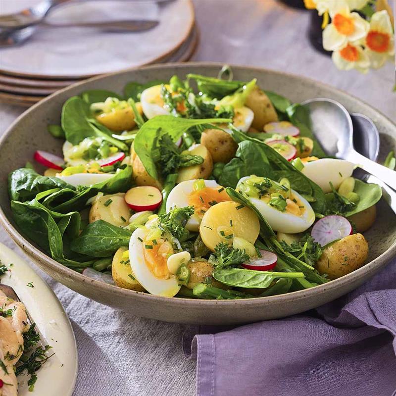 Primörsallad med sauce verte