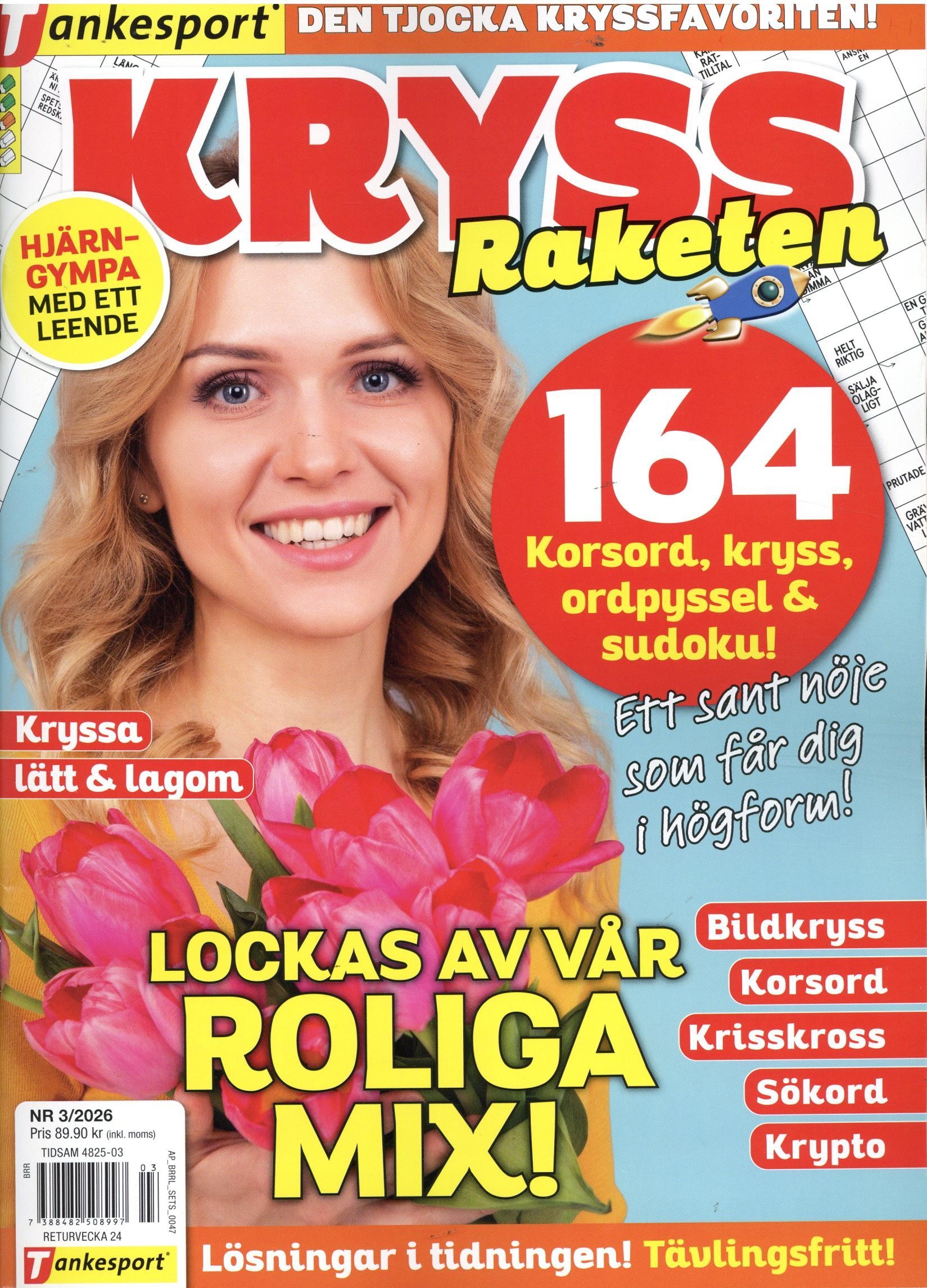 KryssRaketen