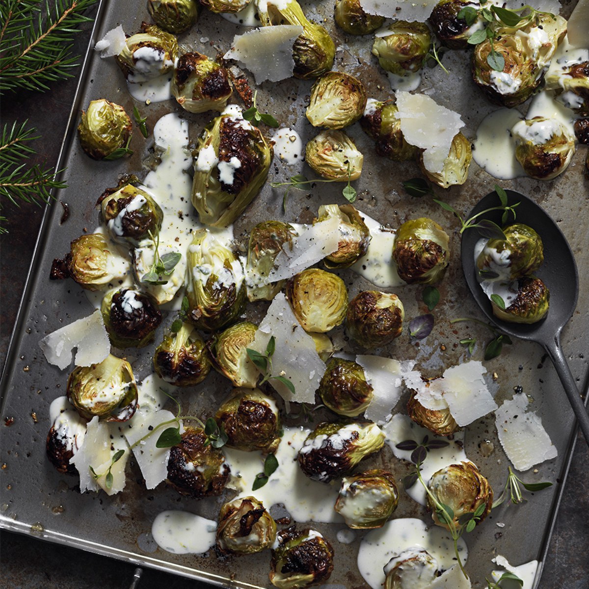 Ugnsrostad Brysselkål Med Krämig Citrondressing-image