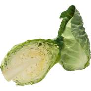 Spetskål