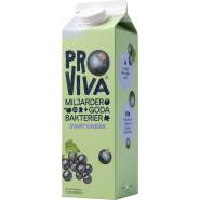 Fruktdryck Svartvinbär