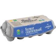 Ägg Frigående Utomhus M/L 10-pack