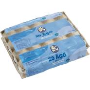 Ägg 20-pack M Frigående inomhus
