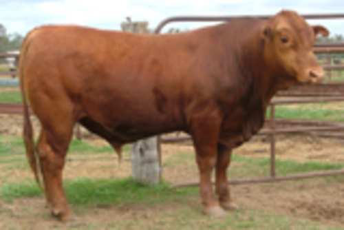 Qn1mayqetz4chjqfyqcq