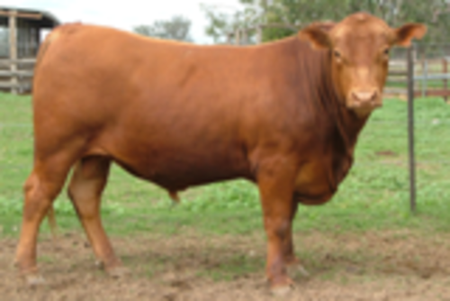 Hzvjra8mcrhsfhuq1mc6