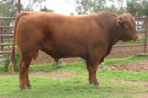 Lrdxuxe5rwad9rgzbi1t