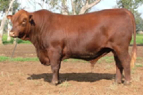 Dshlwpuf2pz1be2sj2kk