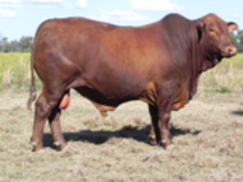 Xjjuetrt9dwcpi3avp3x