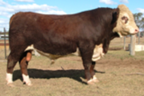 A2kwo9xl2tptp7rareh9