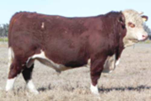 Rpzdvp0ceundwwqxnpog