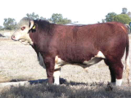 H7jqtrm4wkz1cvt6nc2i