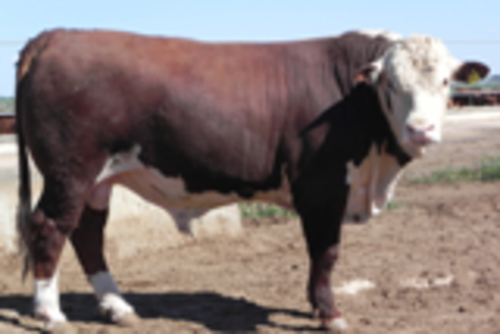 Iwtyiidvmps65dr3ptie