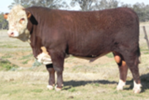 Pwbcygdawiyea2rhjdq6