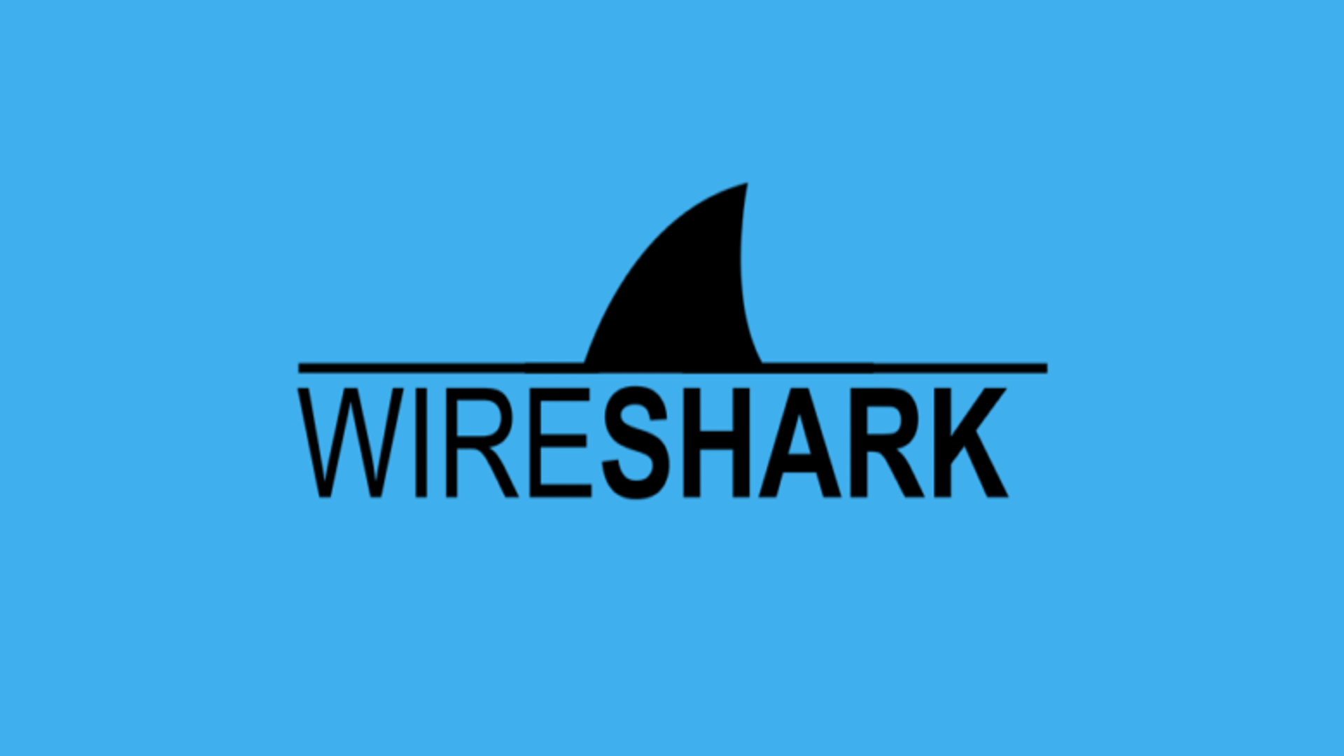 wireshark-1.undefined