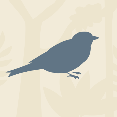 Bird: How cool is our Bird Aviary?