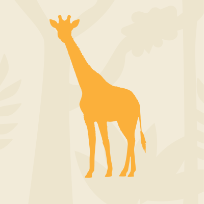 Giraffe: Did you know how tall giraffes are?