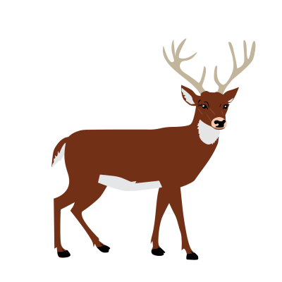 event-67dbec5a6ced45fd6bbf30d2