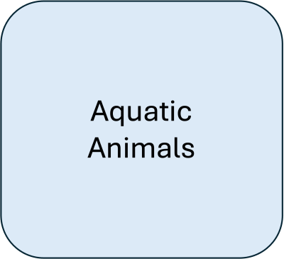 Aquatic Animals