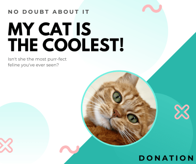 template test 16 dec #1