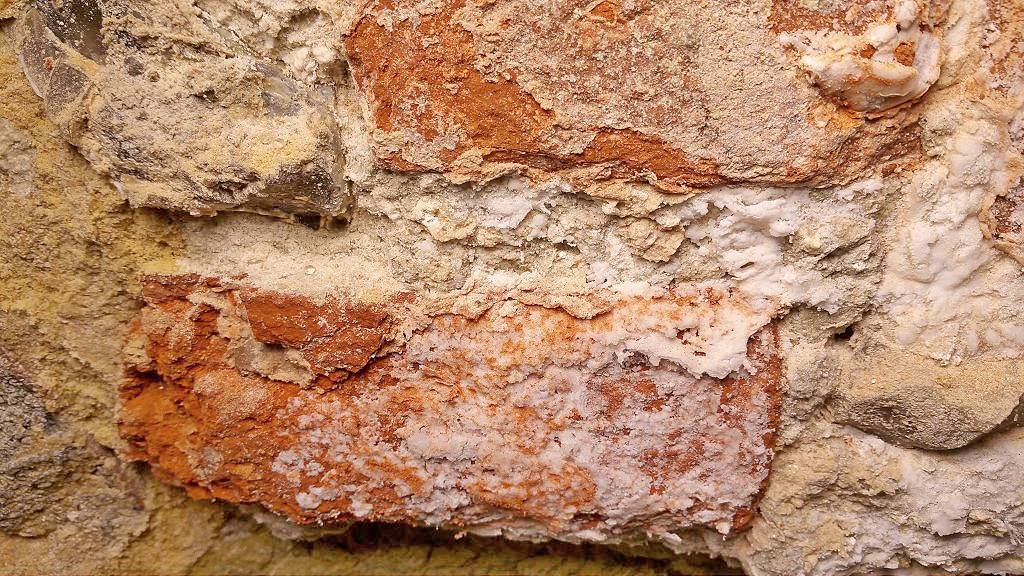 salty bricks