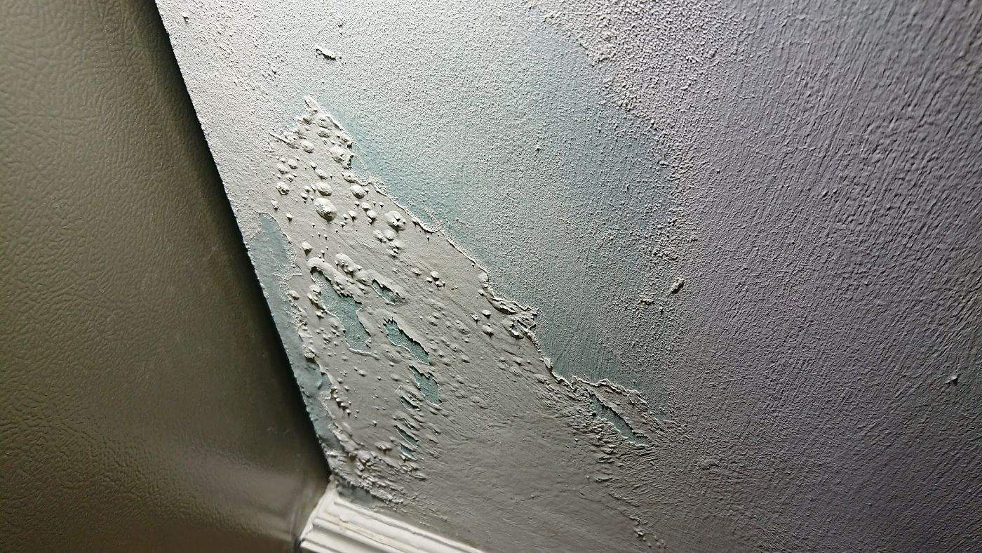 paint damage3a