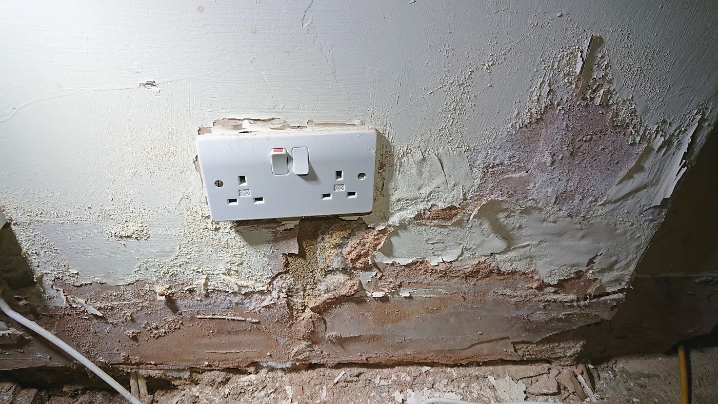 plaster1