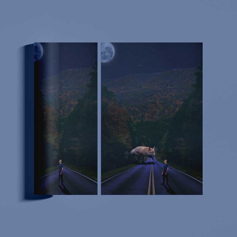 Illustration renard Nuit