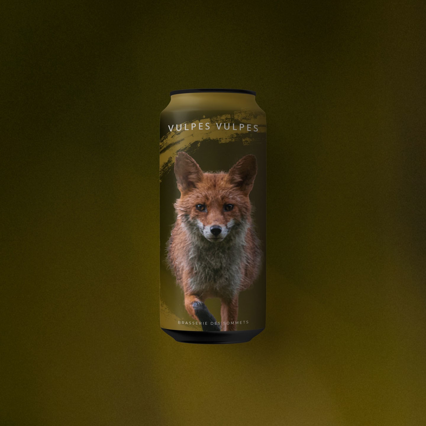 Illustration 'Vulpes Vulpes'