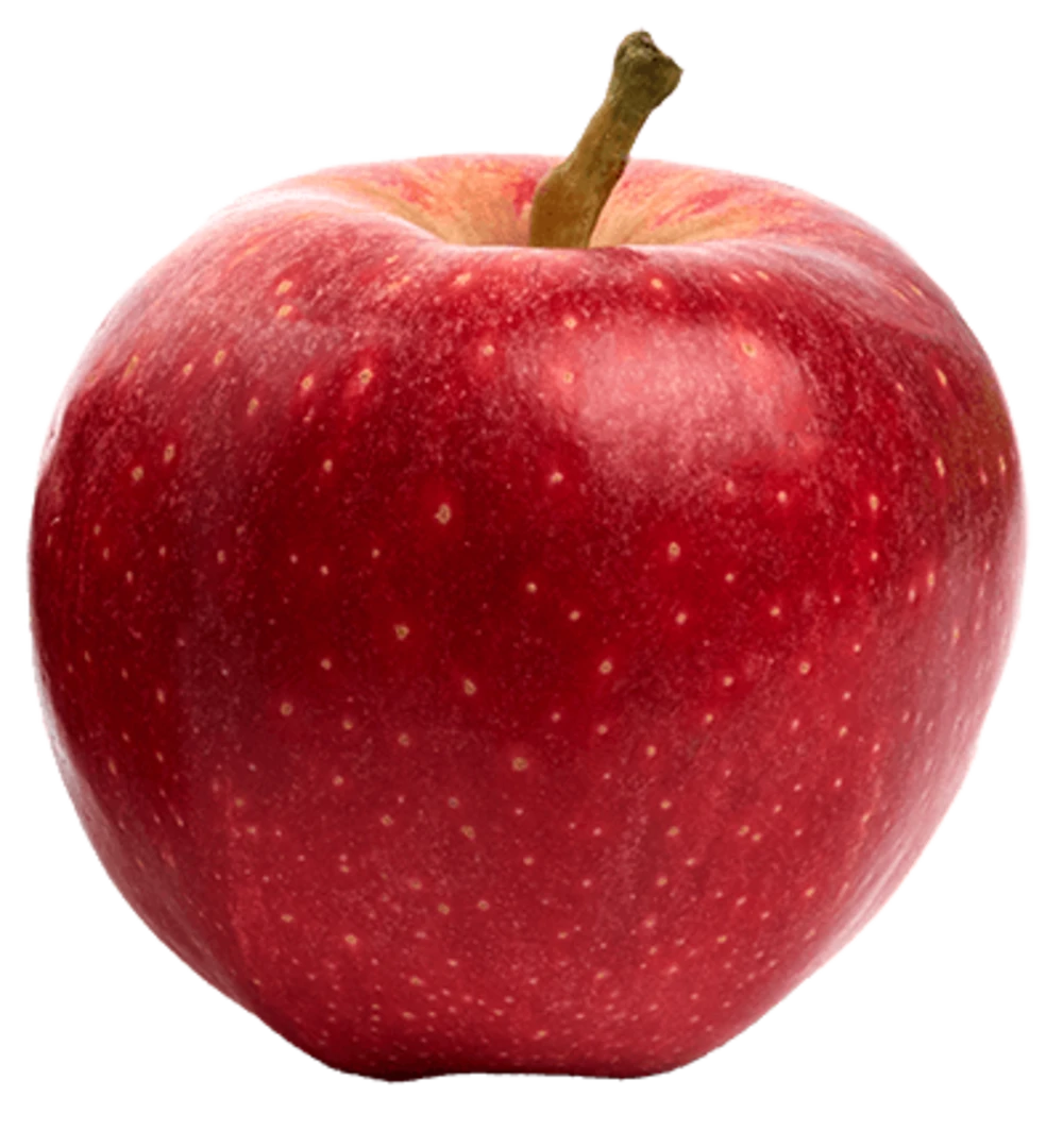 sport bien être entreprise coach yoga ateliers