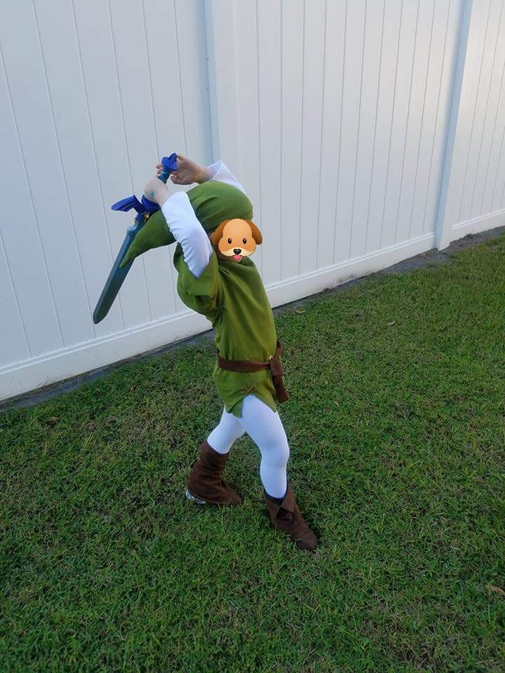 Link cosplay