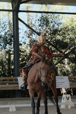 Theoden King cosplay
