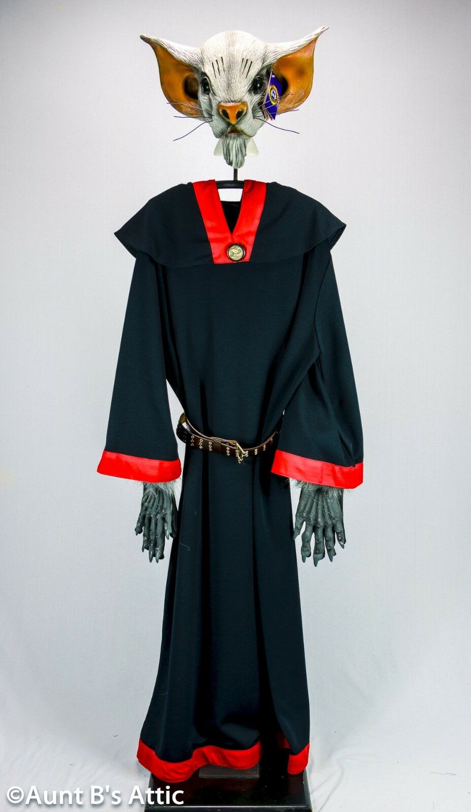 auntieb62-mice--mystics-maginos-costume