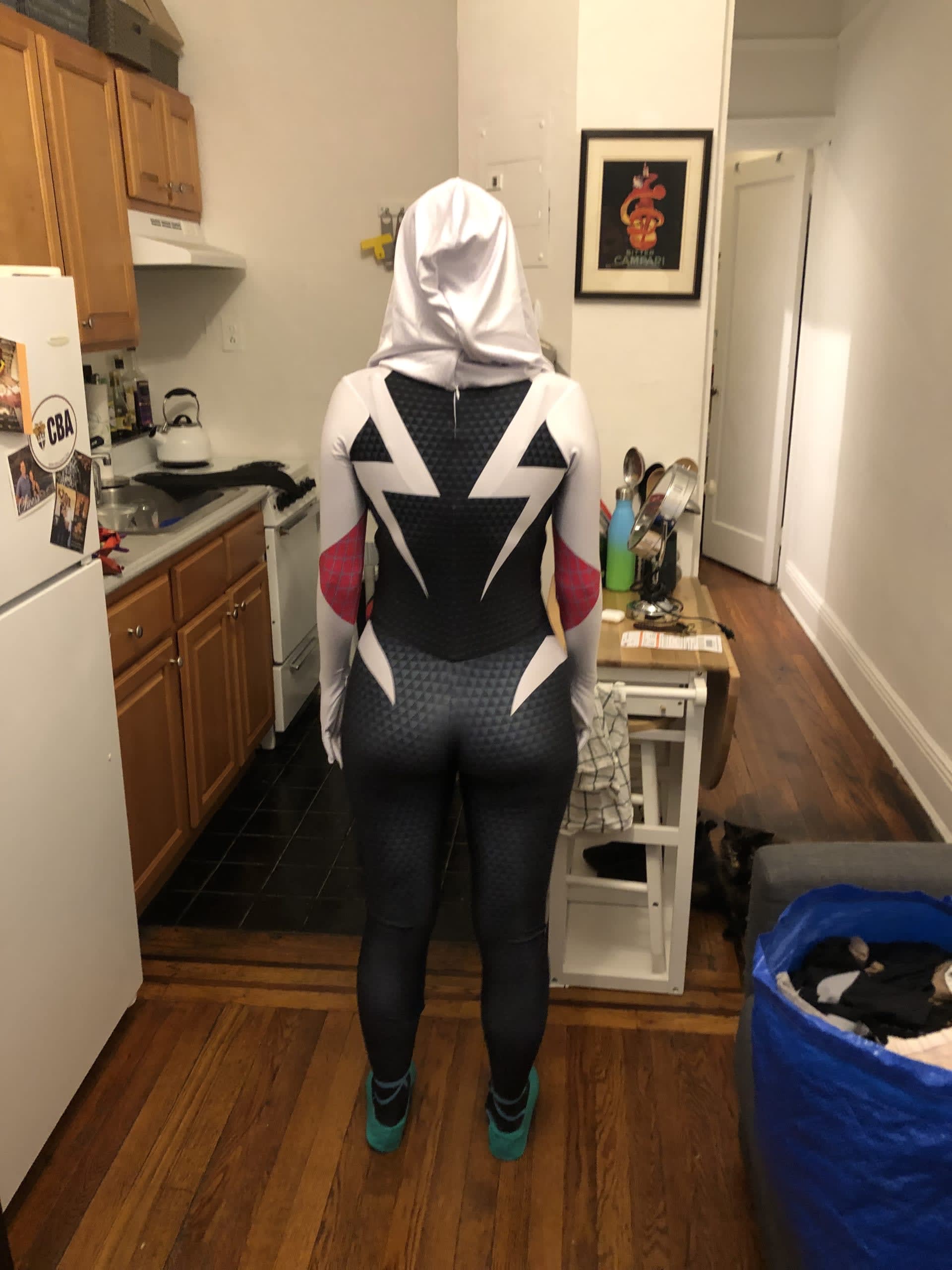 lnew96-spider-man-into-the-spider-verse-spider-gwen