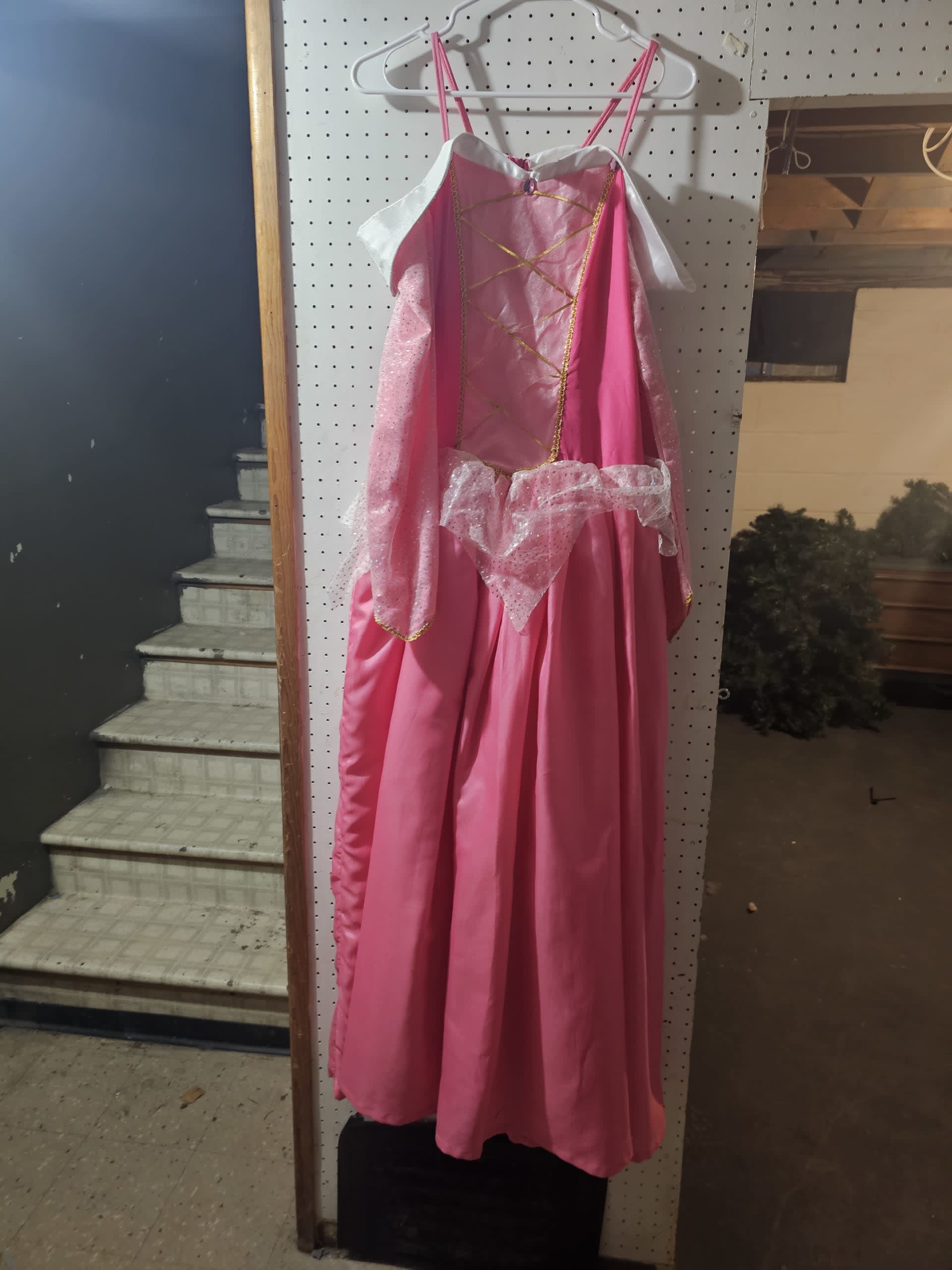 teresamiller1-cinderella-costume
