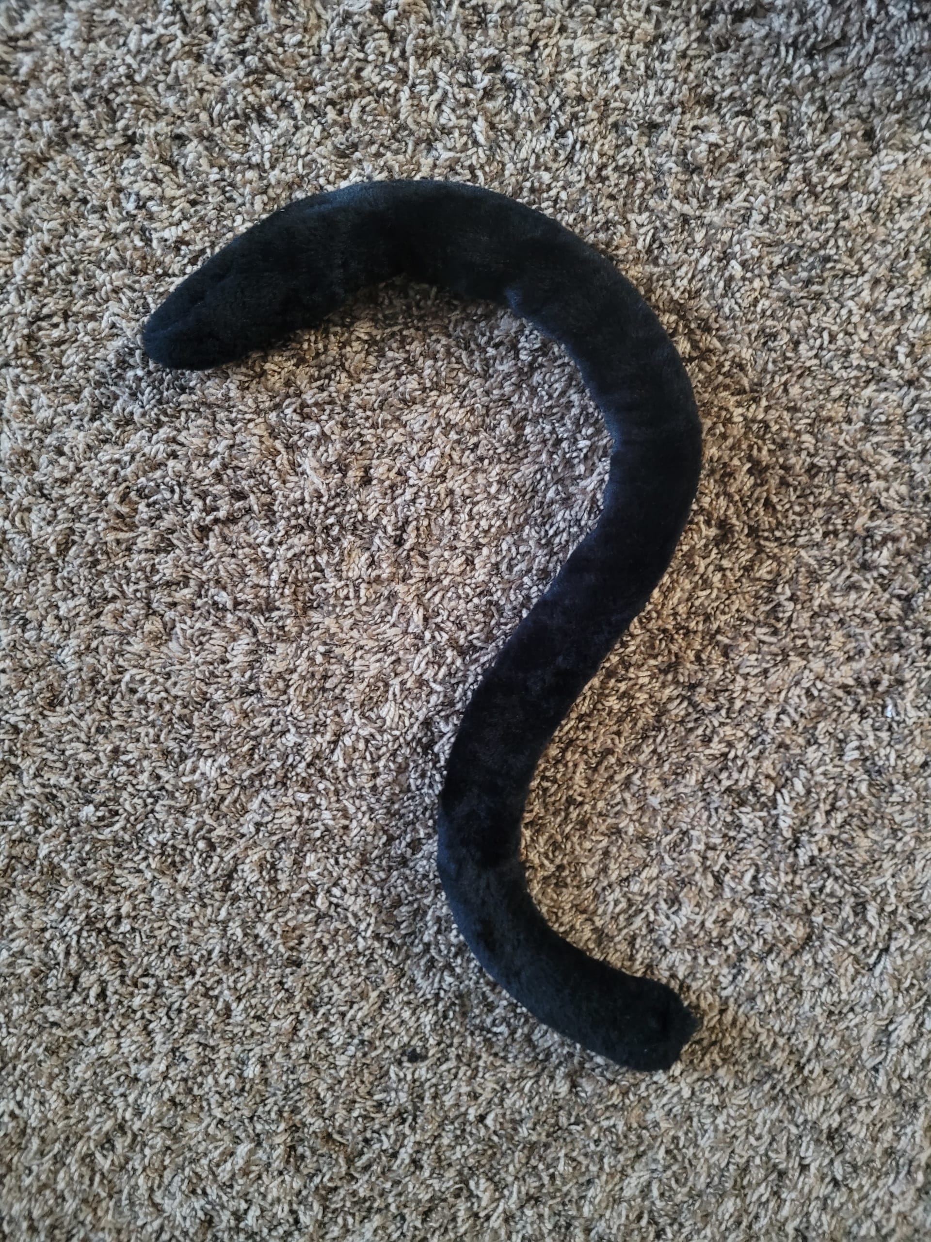 sakurashake-posable-feline-tail-oddly-enough