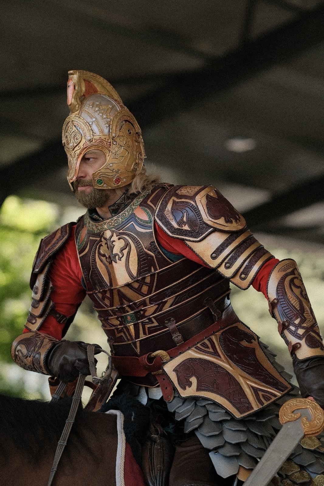 Theoden King cosplay