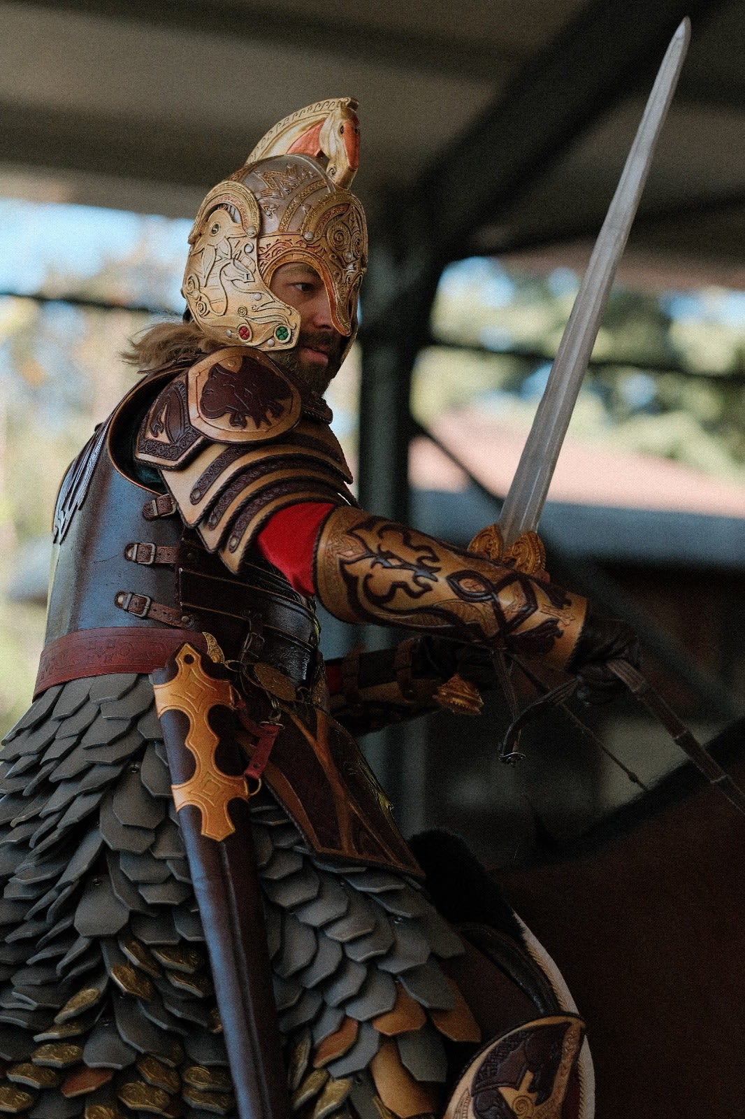 Theoden King cosplay