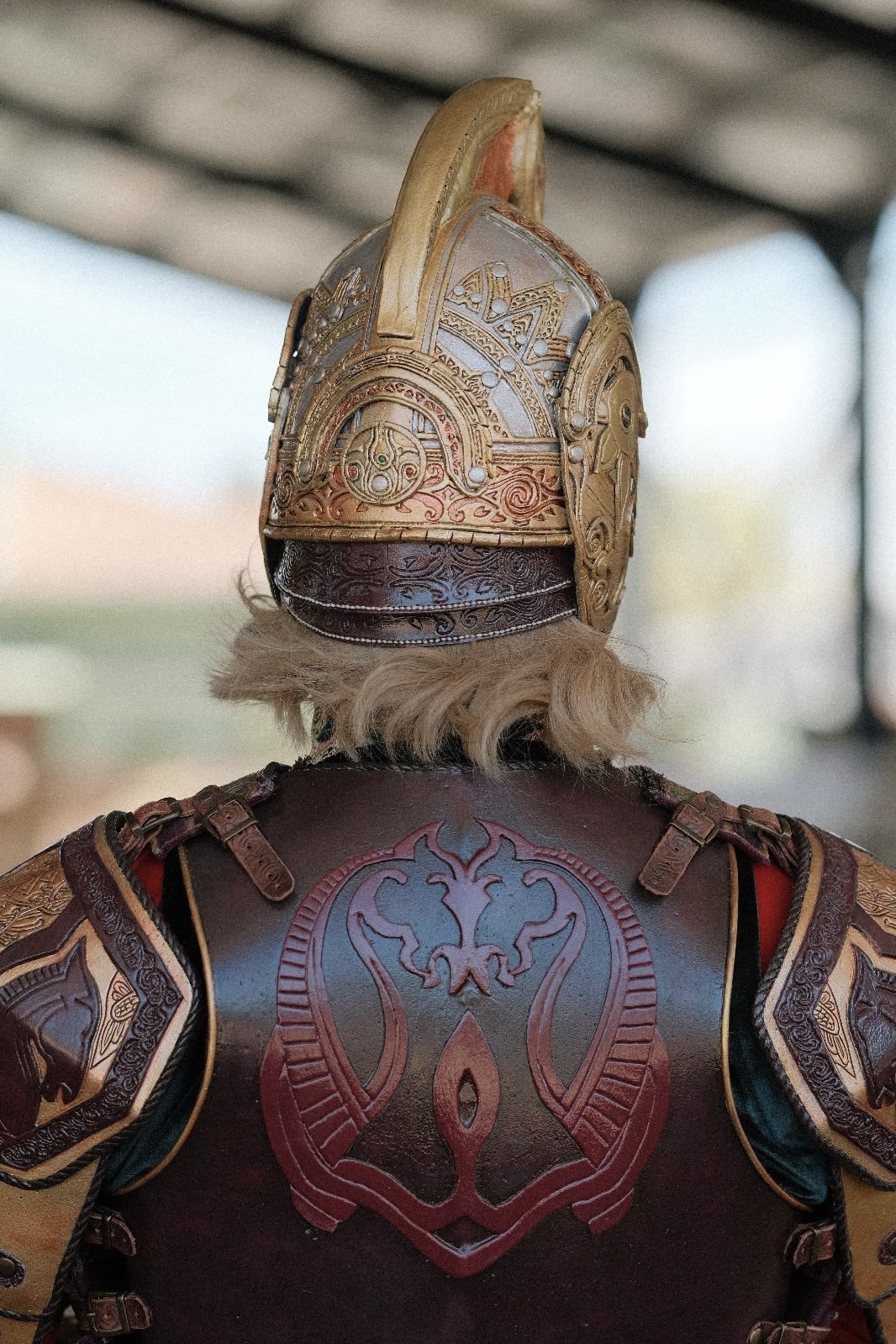 Theoden King cosplay
