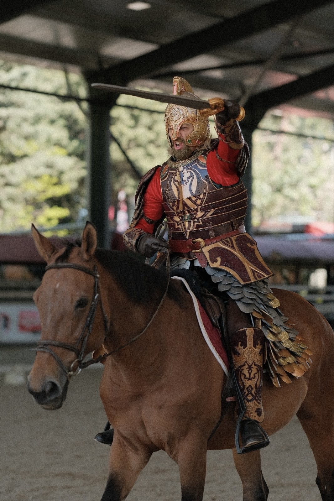 Theoden King cosplay