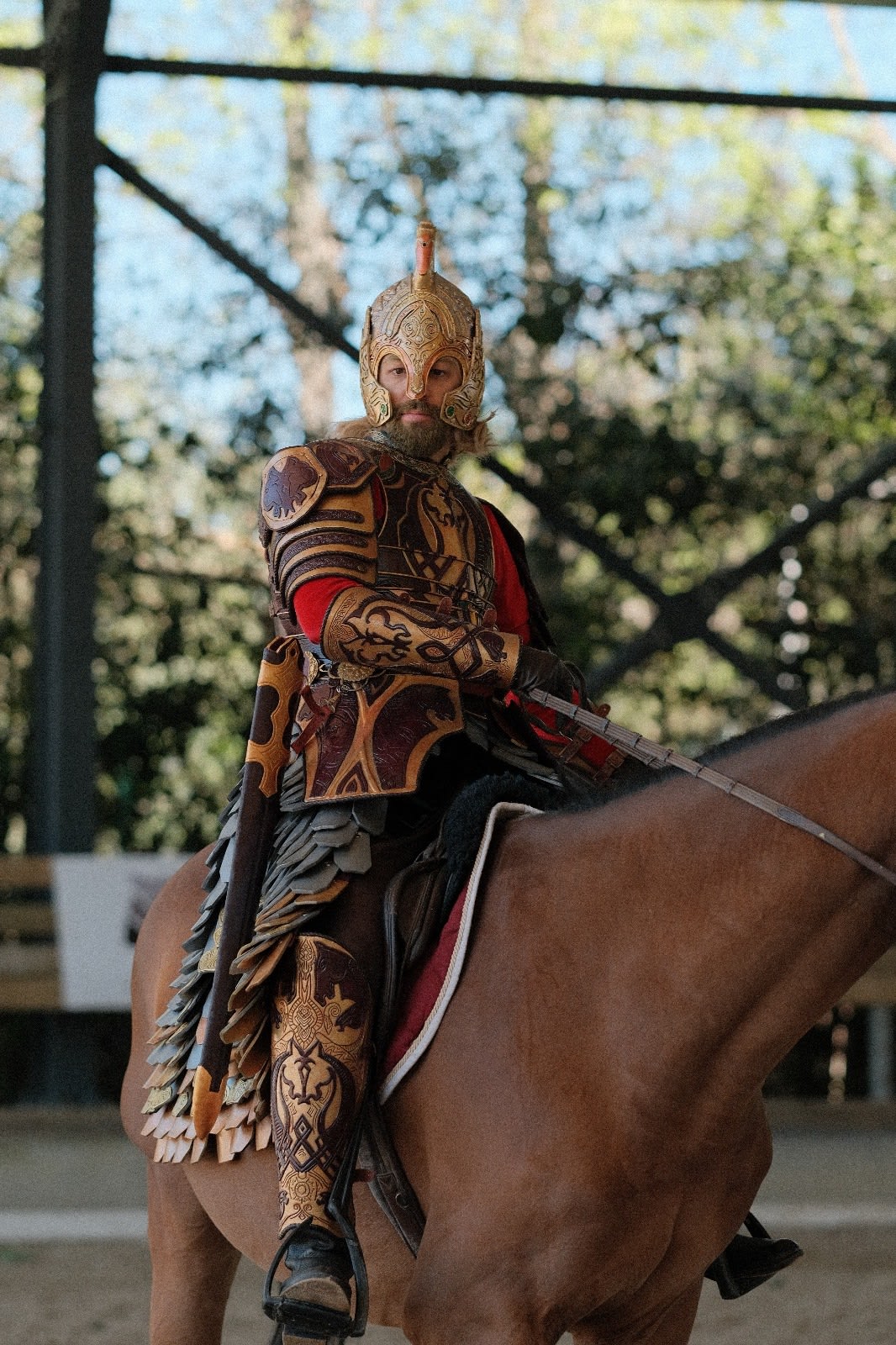 Theoden King cosplay