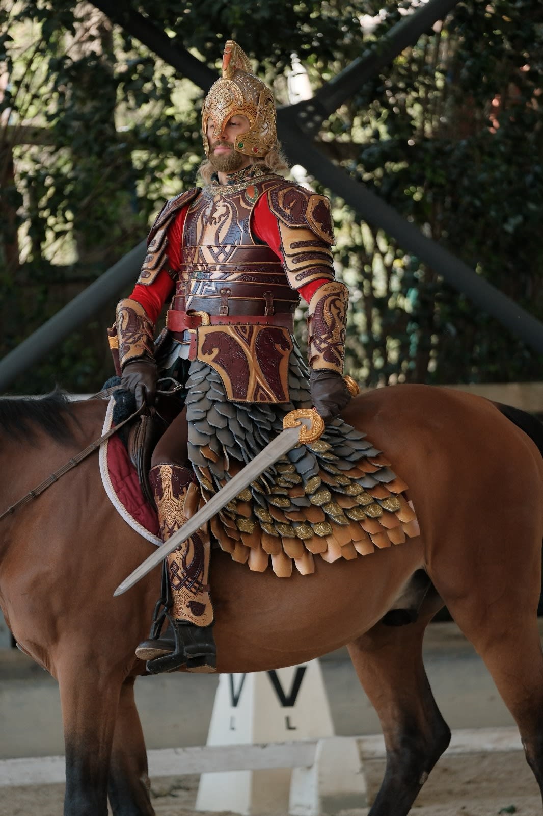 Theoden King cosplay