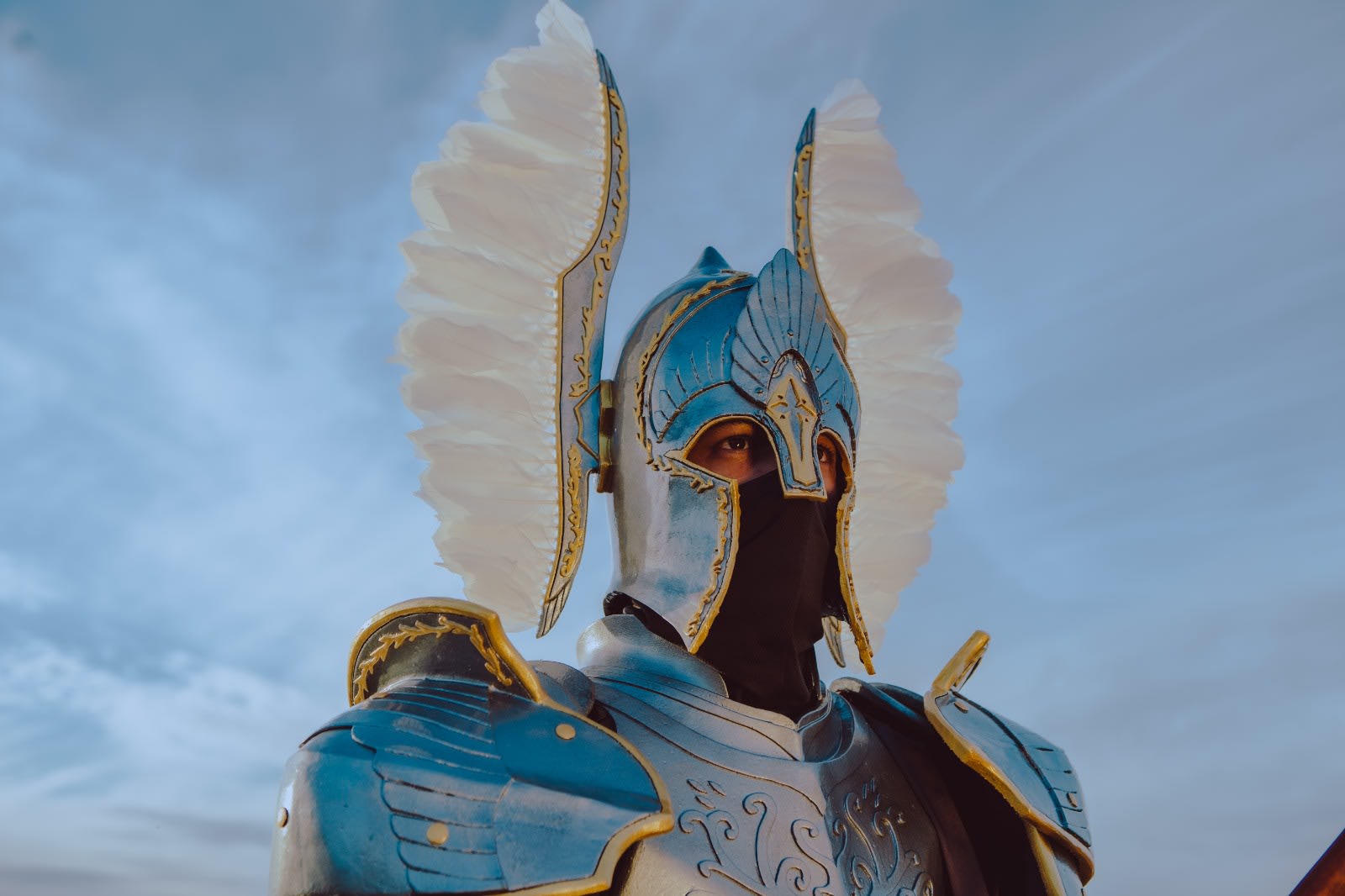 Custom cosplay costume