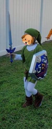 Link cosplay