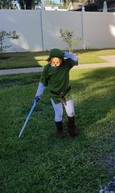 Link cosplay