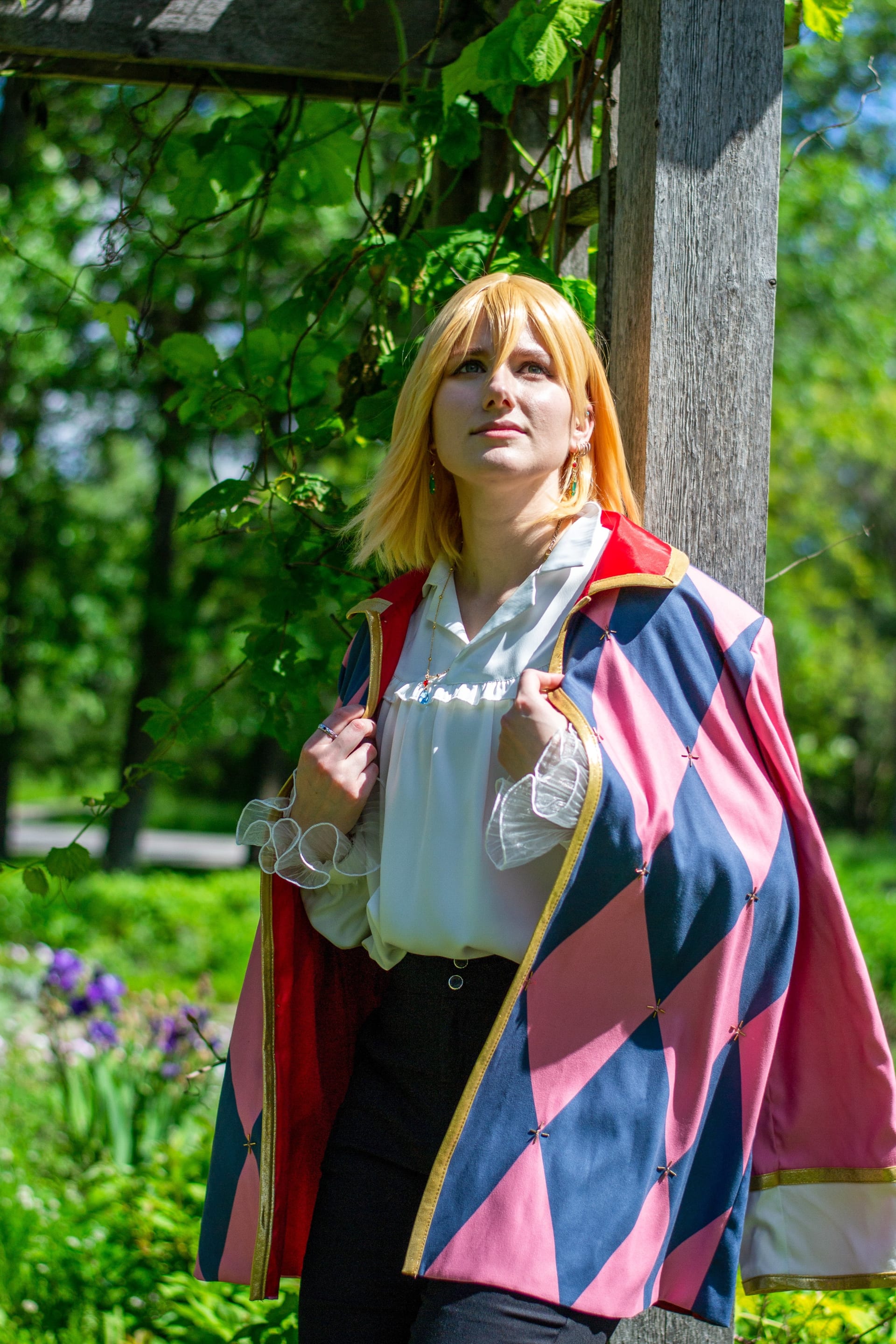 Howl Pendragon from Howls Moving Castle Costume - Coscove